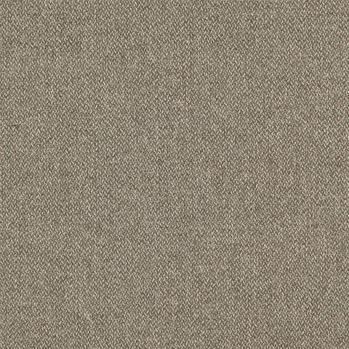 Venue_Putty