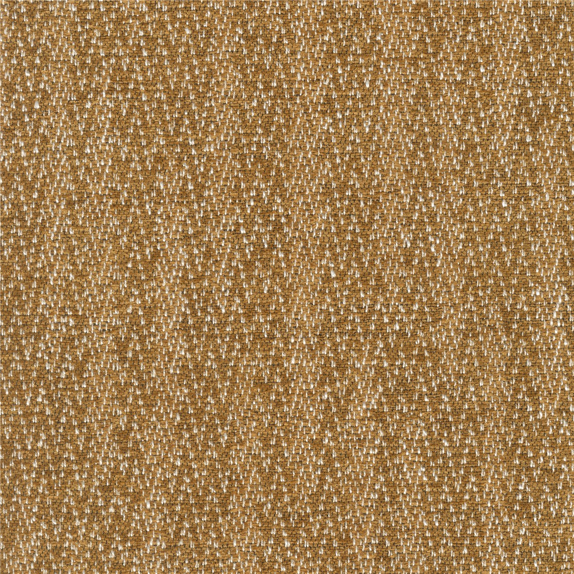 Verve_Pumpkin