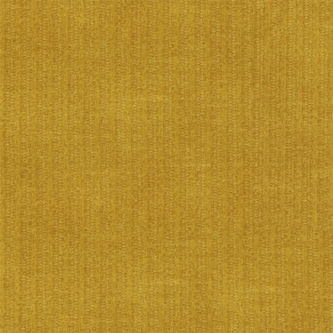 Waler_Mustard