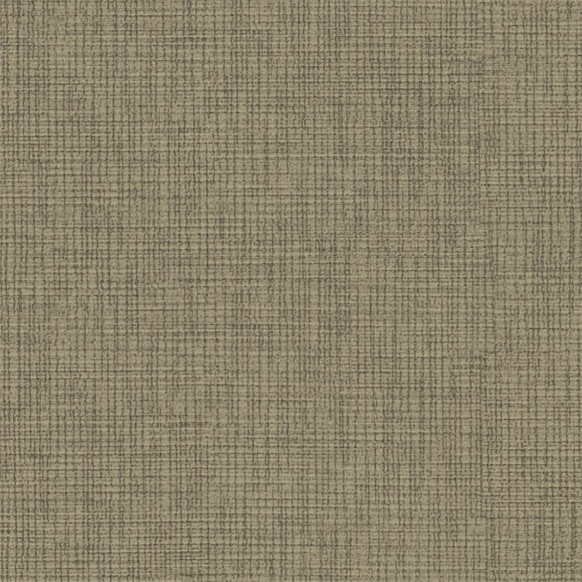 Winfield_Birch