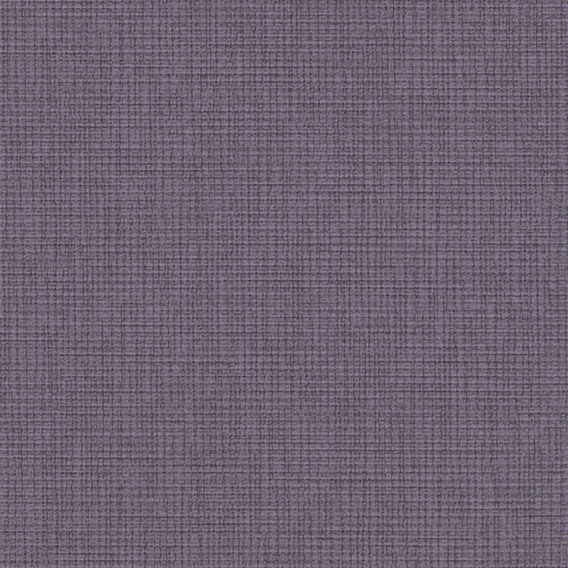 Winfield_Violet