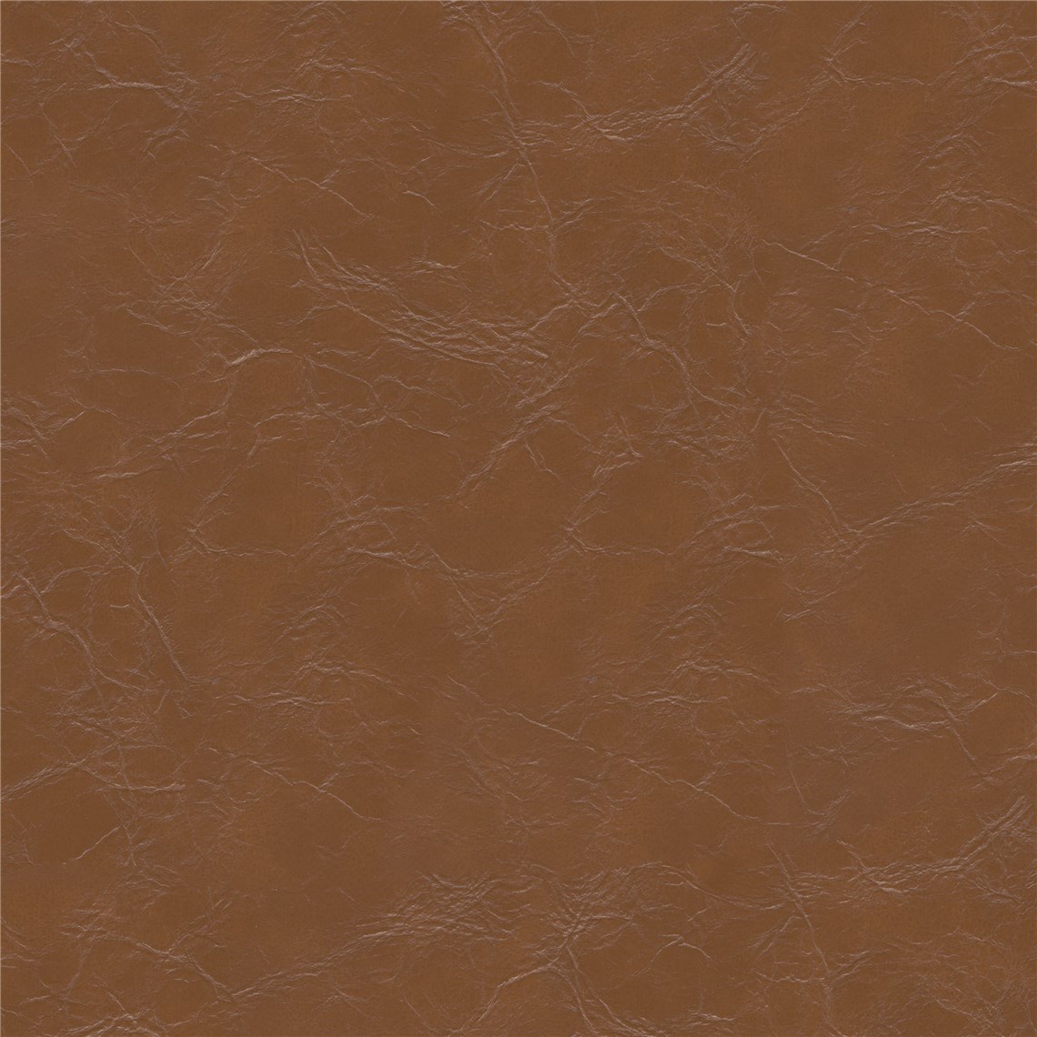 Winslow_Maple