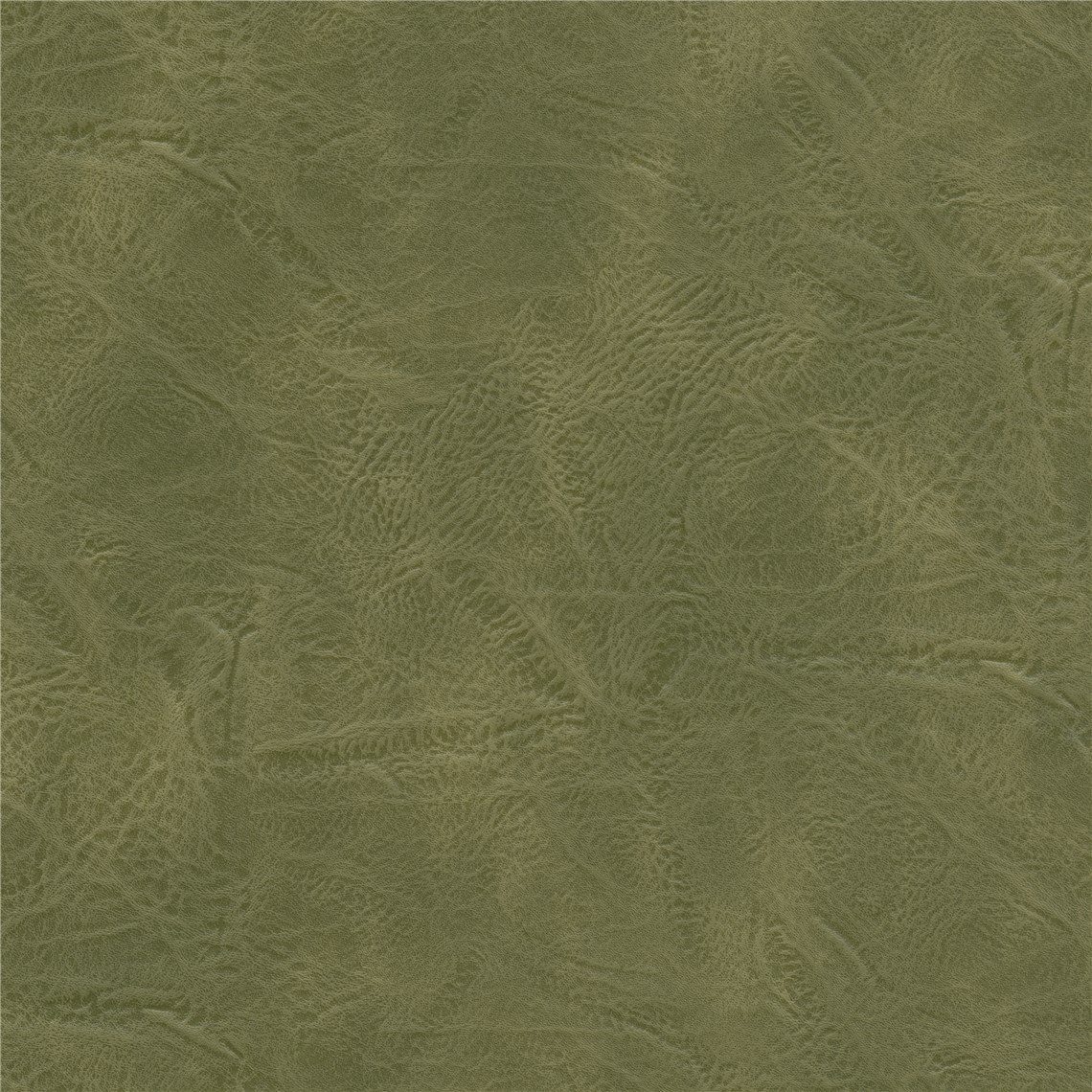 Wormwood_Cacti