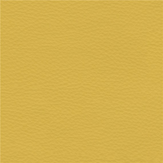 Abracadabra_Golden