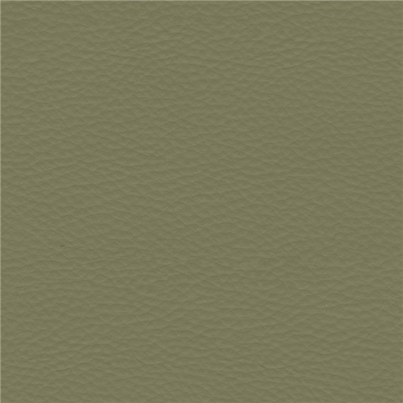 Abracadabra_Olive
