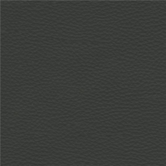 Abracadabra_Sable