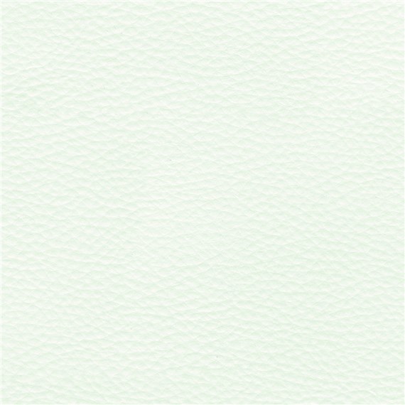 Abracadabra_Snow