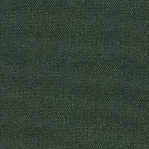 Admiral_Evergreen