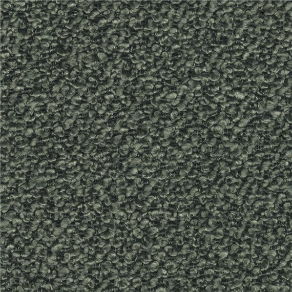 Aficionado_Olive