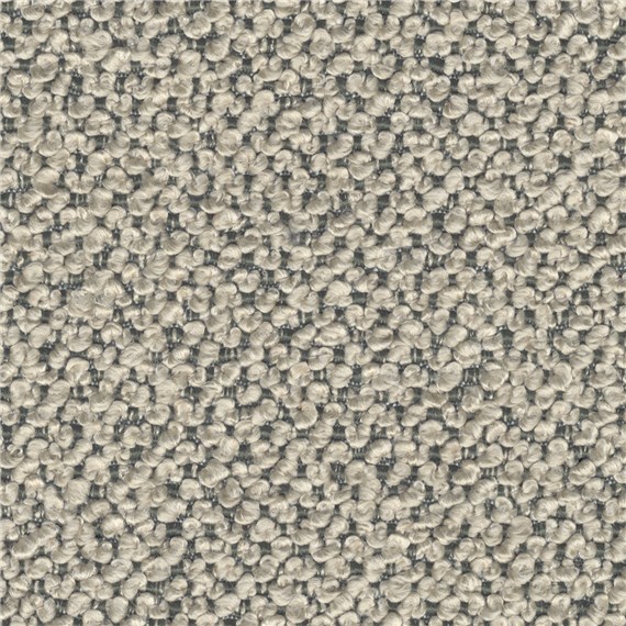 Aficionado_Sahara