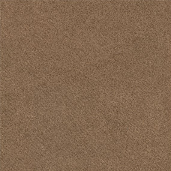Antico_Bronze