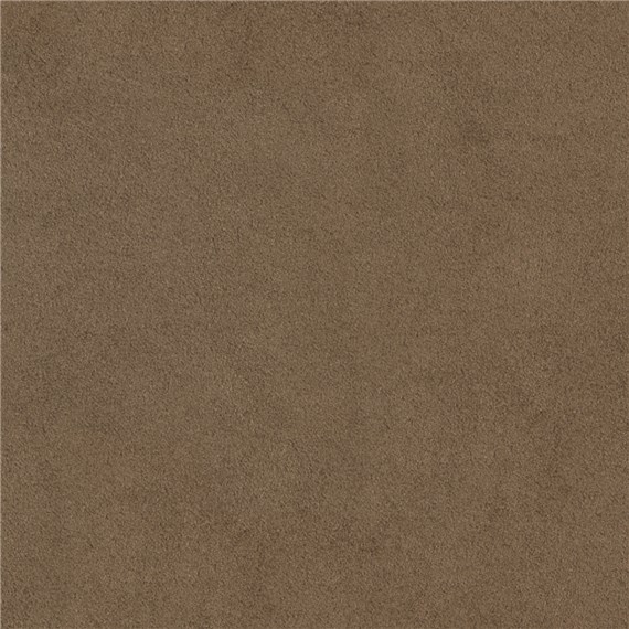 Antico_Hickory