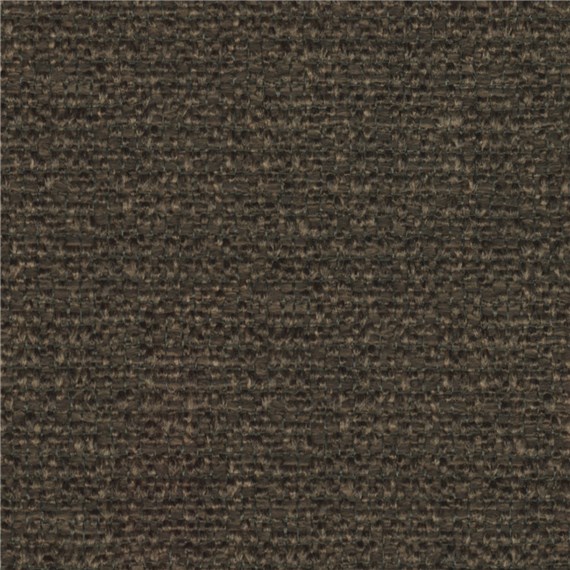 Apella_Brun