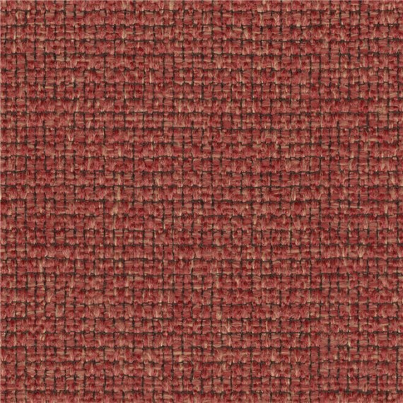 Apella_Tomato