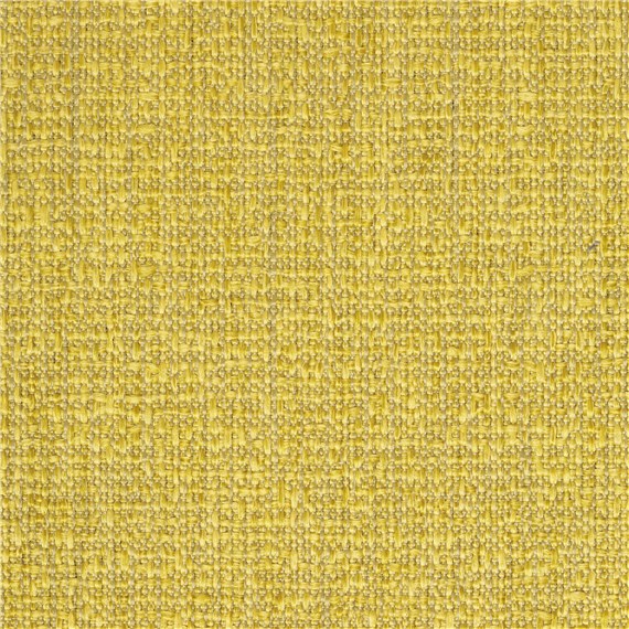 Aperture_Chamomile