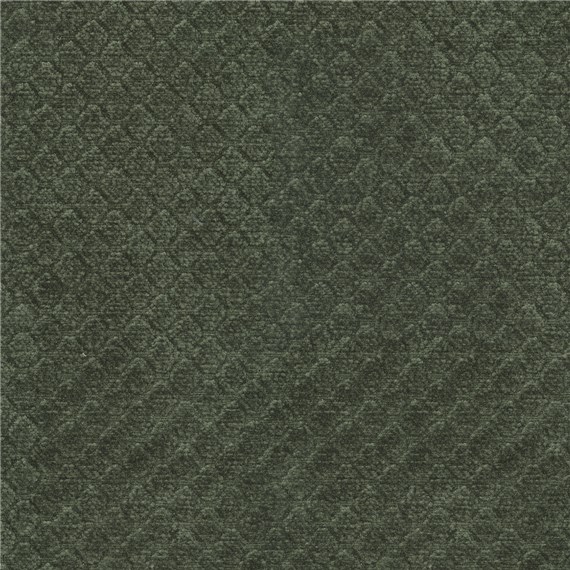 Arapahoe_Juniper