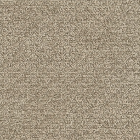 Arapahoe_Tundra