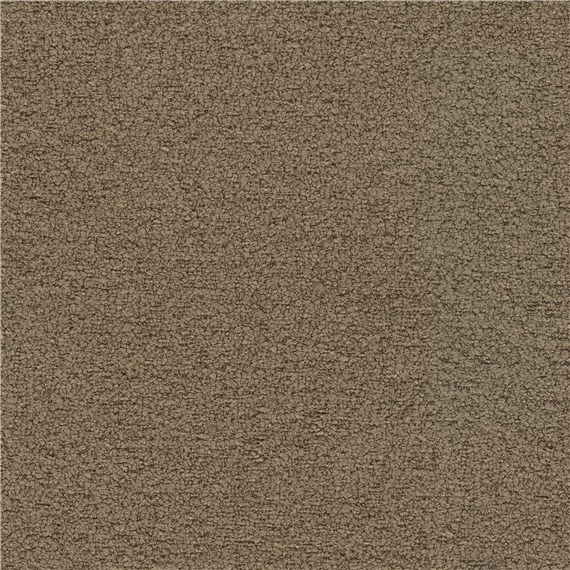 Beaucoup_Brown