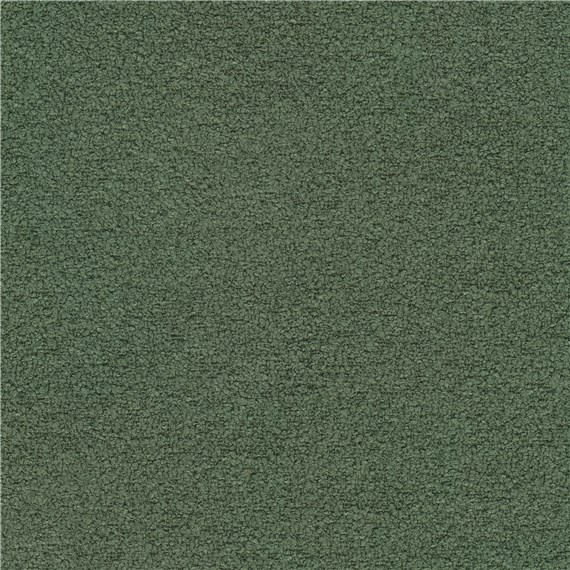 Beaucoup_Forest