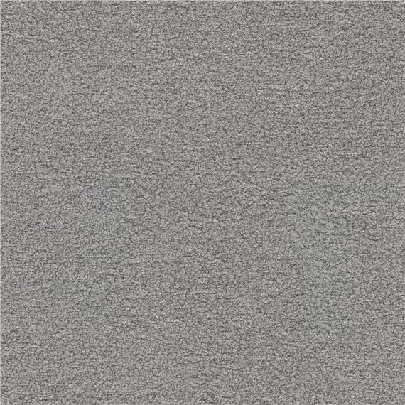 Beaucoup_Grey
