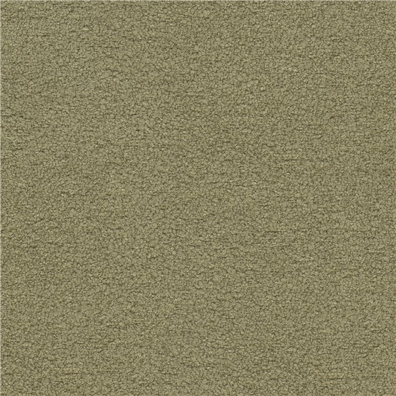 Beaucoup_Olive