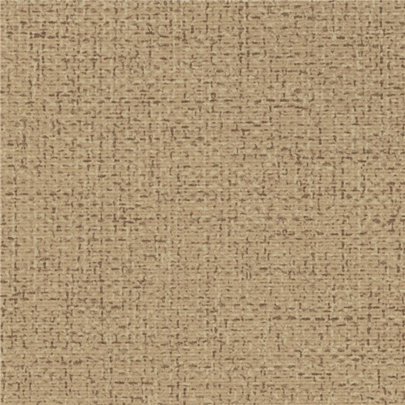 Bergen_Biscotti