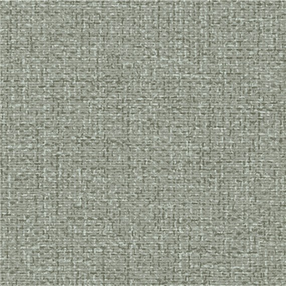Bergen_Chinchilla