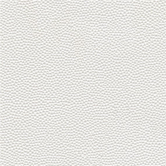Bijou_Gesso