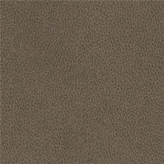 Biograin_Arabica