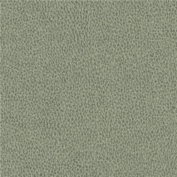 Biograin_Clover