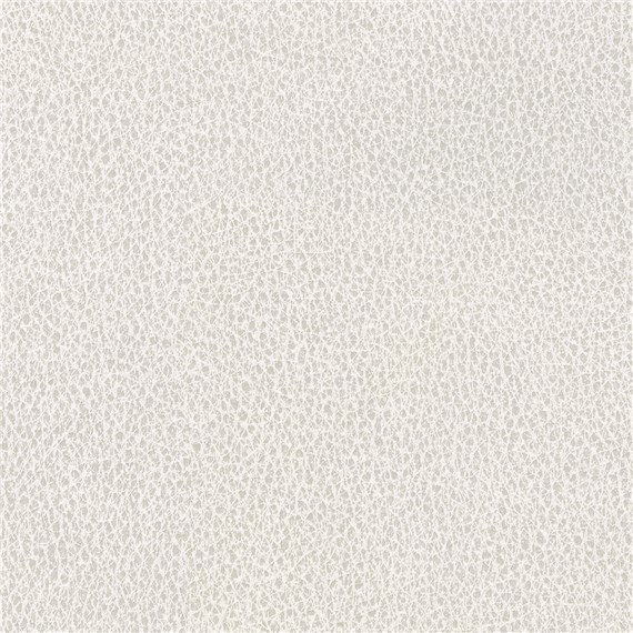 Biograin_Dove