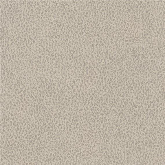 Biograin_Limestone