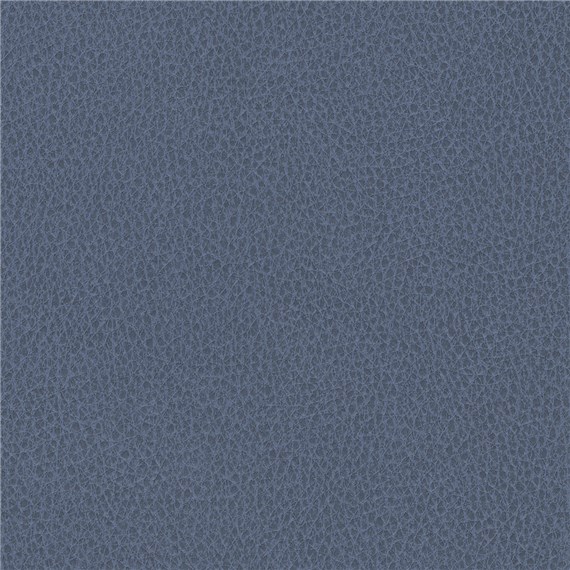 Biograin_Ocean