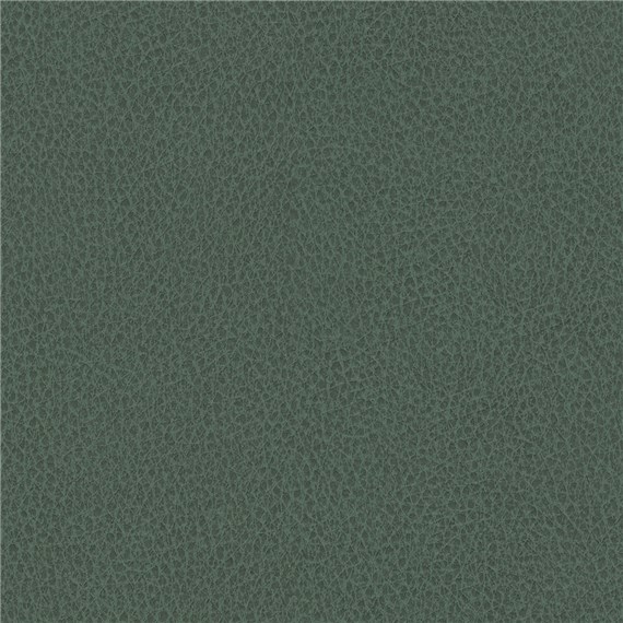 Biograin_Rainforest