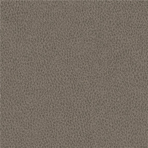 Biograin_Sea_Lion