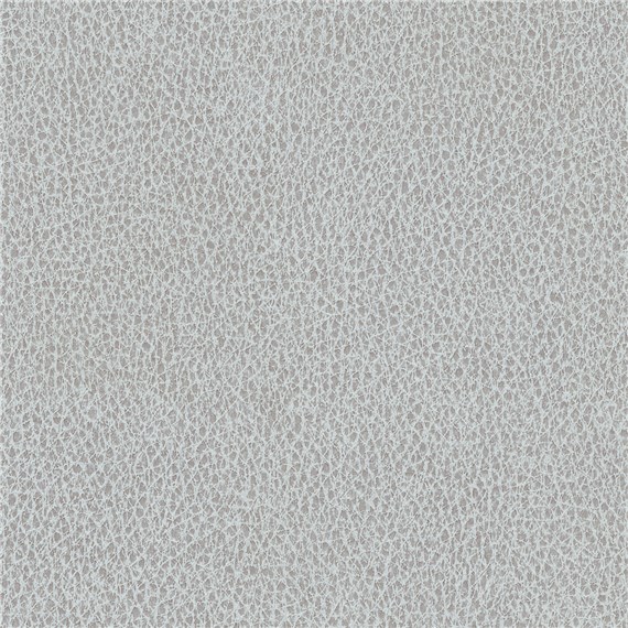 Biograin_Skylight