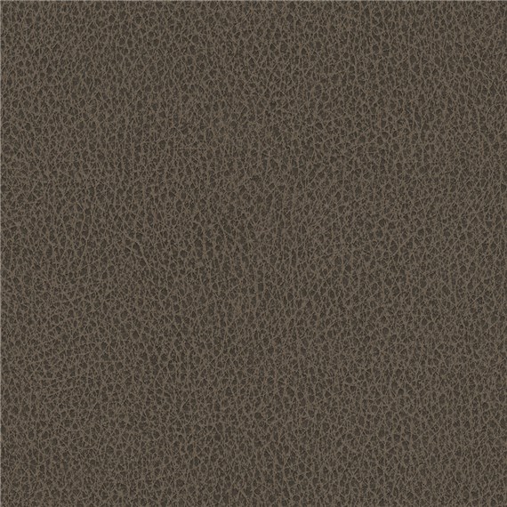 Biograin_Truffle