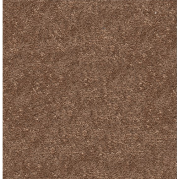 Brighton_Copper