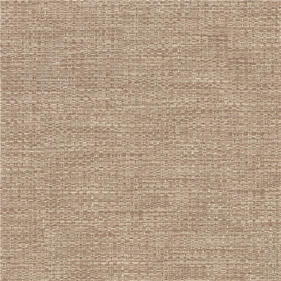 Calamus_Fawn