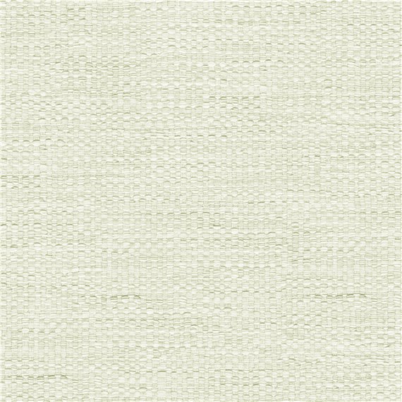Calamus_Natural