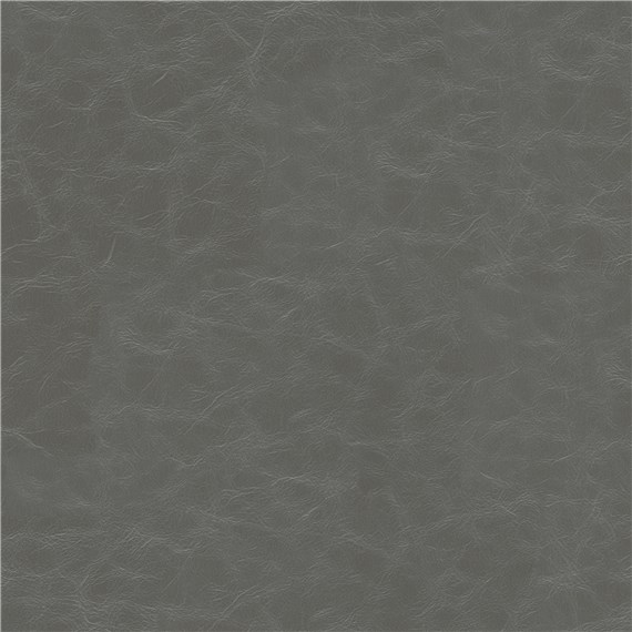 Cantina_Gray