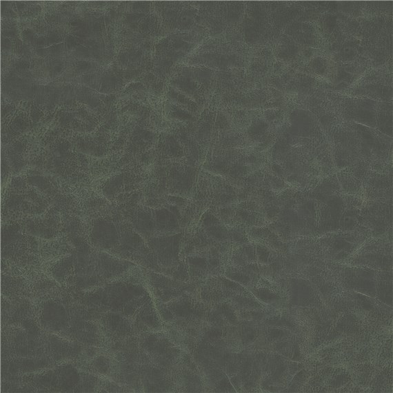 Cantina_Moss