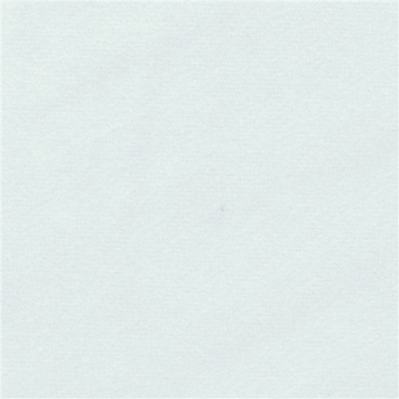 Catnap_White