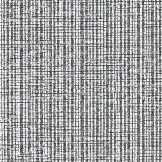 Chambray_Pelican