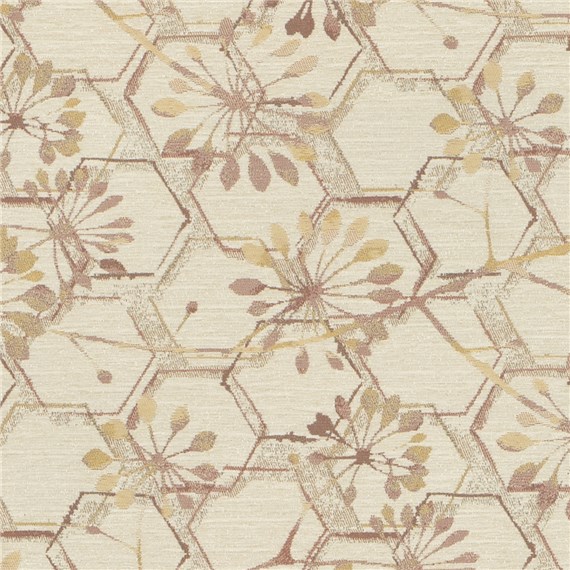 Chamomile_Warm