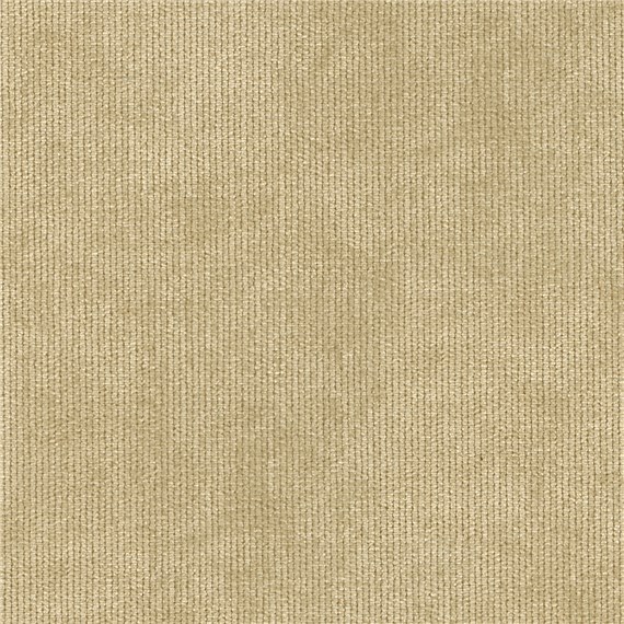 Chesterfield_Maple