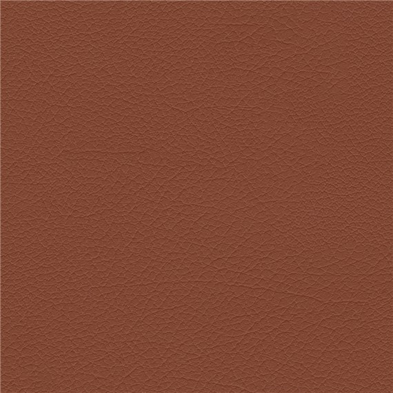 Clydesdale_Cinnamon