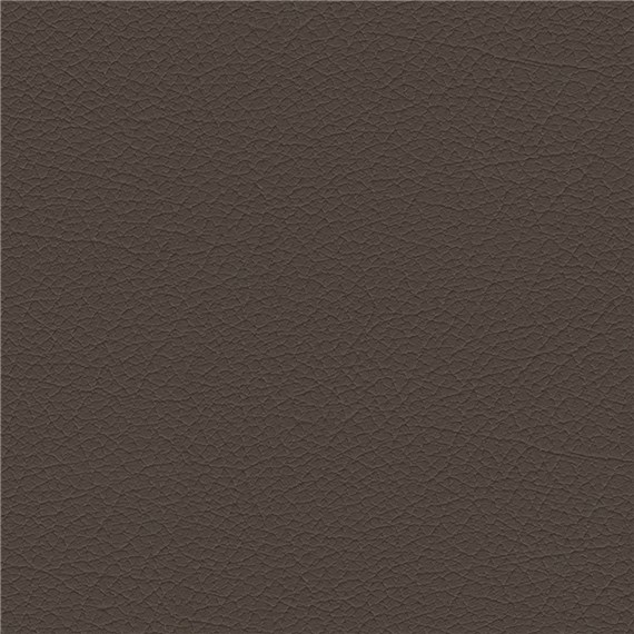 Clydesdale_Cocoa