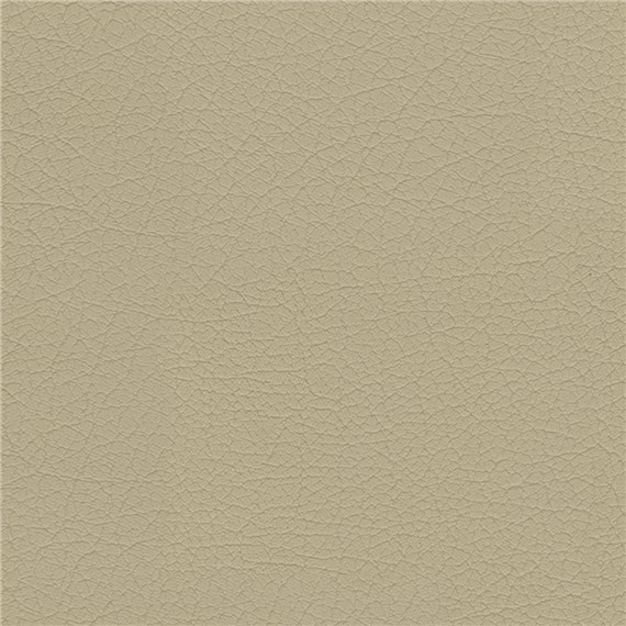 Clydesdale_Sahara