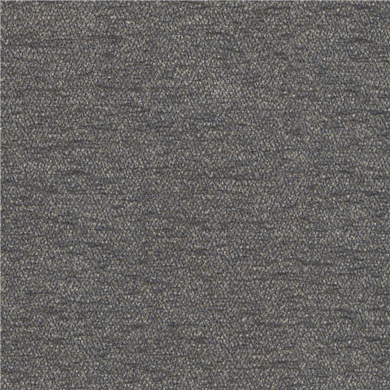 Coachella_Sharkskin